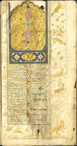 کلیم