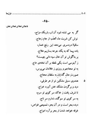 دیوان اشعار فارسی سید عماد الدین نسیمی به کوشش سید احسان شکر خدایی و نرگس سادات شکر خدایی - سید عماد الدین نسیمی - تصویر ۲۰۲