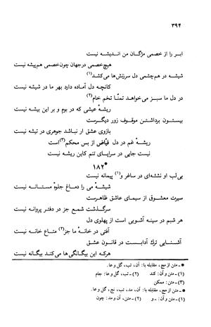 دیوان ملا عبدالرزاق فیاض لاهیجی به کوشش امیربانوی کریمی - ملا عبدالرزاق فیاض لاهیجی - تصویر ۴۴۳